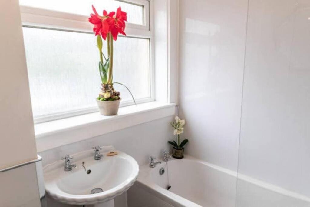 Apartamento Cosy 1 Bed With Parking In City Centre Glasgow Exterior foto